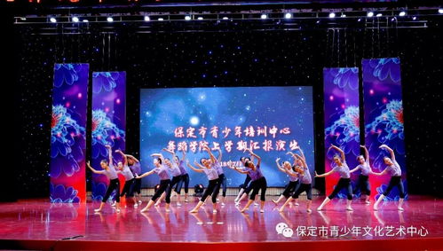 2018保定市青少年培训中心舞蹈学院上学期汇报演出
