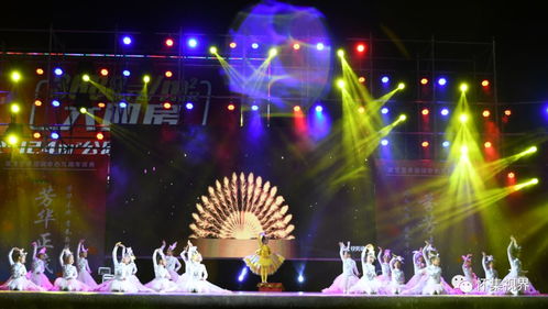 星艺艺术培训中心九周年汇报演出,娃儿表演好精彩