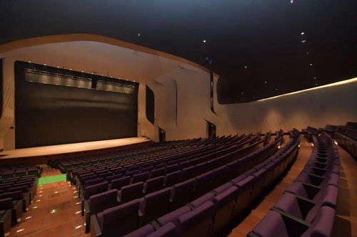 百场演出即将唱响湾区 深圳滨海演艺中心开幕演出季首发