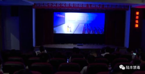 陆丰皮影戏禁毒宣传精品剧 泪花 昨晚首演