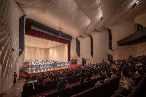 深圳宝安文化区表演艺术中心