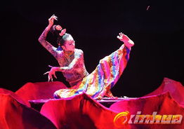 藏谜 在河南艺术中心年夜剧院表演