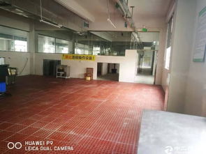 龙岗中心城成熟食品厂两层3200平带设备可装修