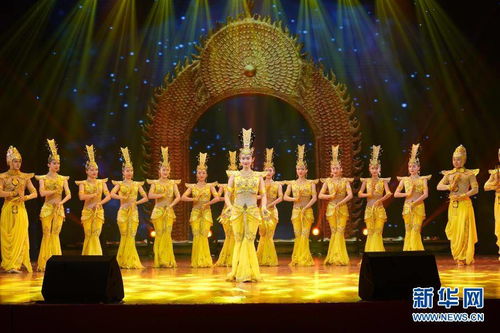 中国残疾人艺术团 我的梦 国际残疾人日专场公益演出在南京举行